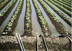 Agricultural Irrigation Networks Pipes