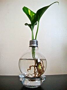 Glass Flowerpot