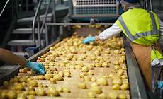 Potato Chips Production Facilities