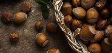 Shelled Hazelnut Seasoning And Salting