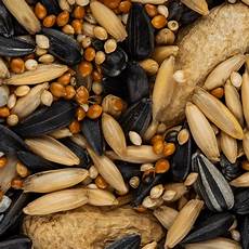Shelled Peanuts Manual Salting