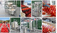 Tomato Paste Production Facilities