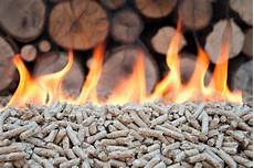 Wood Bio Fuels