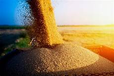 Agricultural Products