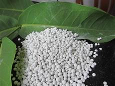 Agricultural Products