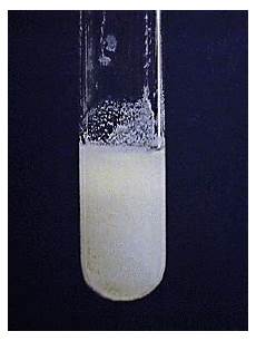 Ammonium Sulphate