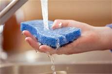 Auto Cleaning Sponge