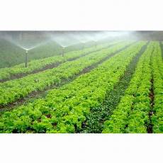 Automatic Winged Irrigation Machines