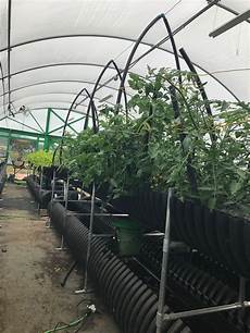 Bio Compost Fertilizer
