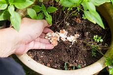 Bio Compost Fertilizer