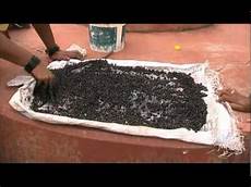 Biofertilizer