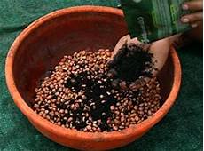 Biofertilizer