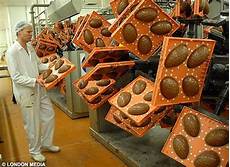Candy Production Machines