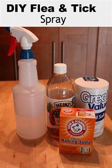 Carpet Detergent