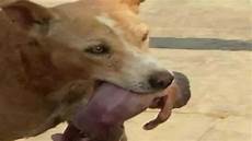 Dustbin