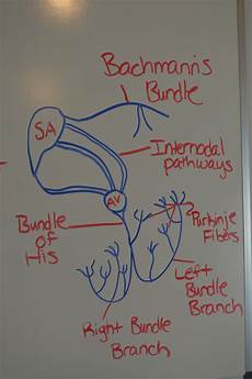 Electrical System
