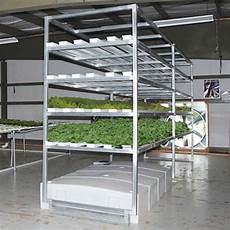 Legume Shelves