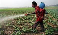 Organic Liquid Fertilizer