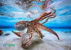 Plastic Road Barrier