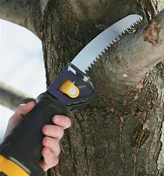 Pruning Saws