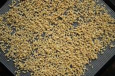Salted Chickpea Drying