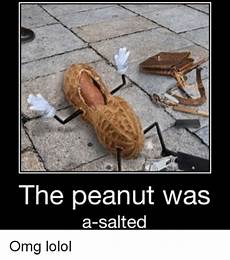 Salted Peanut Automatic Salting