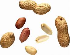 Shelled Peanuts Production Line