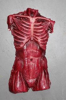 Skeleton