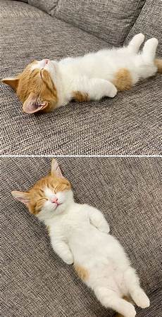 Sleeping