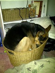 Sleeping
