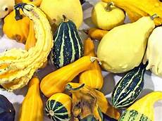 Squash