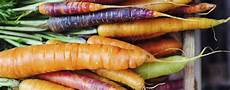 Vegetable Liquid Organic Fertilizer