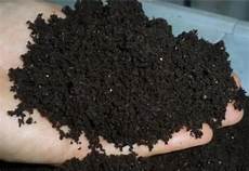 Vegetable Liquid Organic Fertilizer
