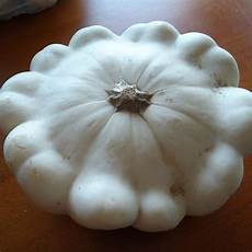 Vegetable Liquid Organic Fertilizer